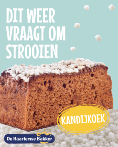 Scherm­afbeelding 2026-01-08 om 10.34.57